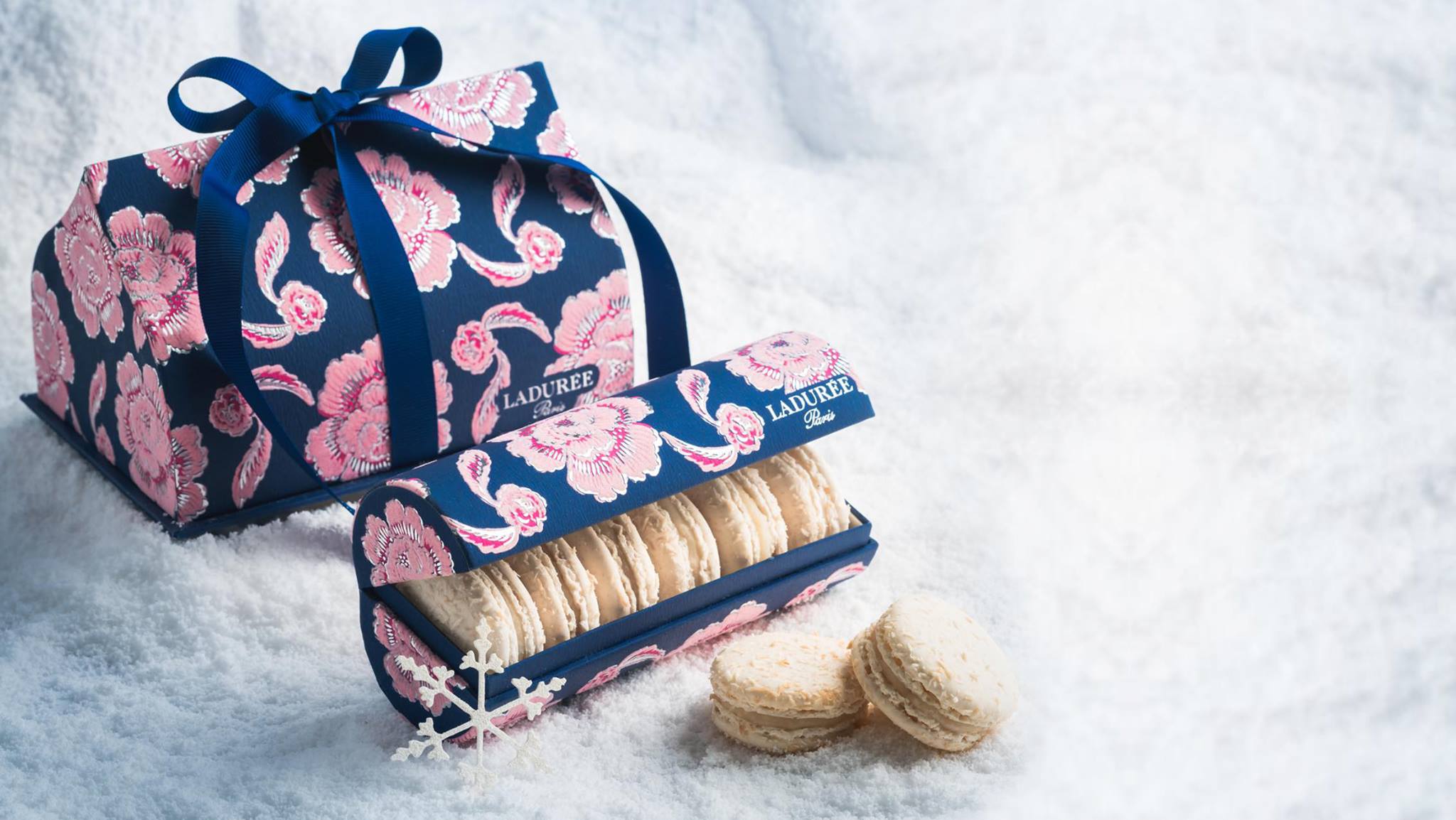 15591568_1384519134902081_9086795875793114971_o