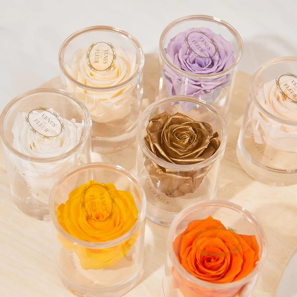 single rose acrylic box